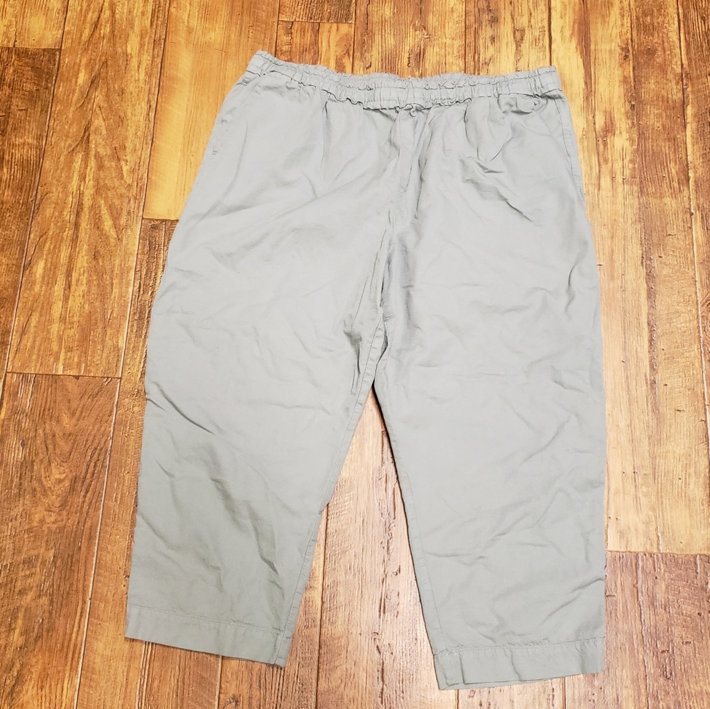 Gap capri pants